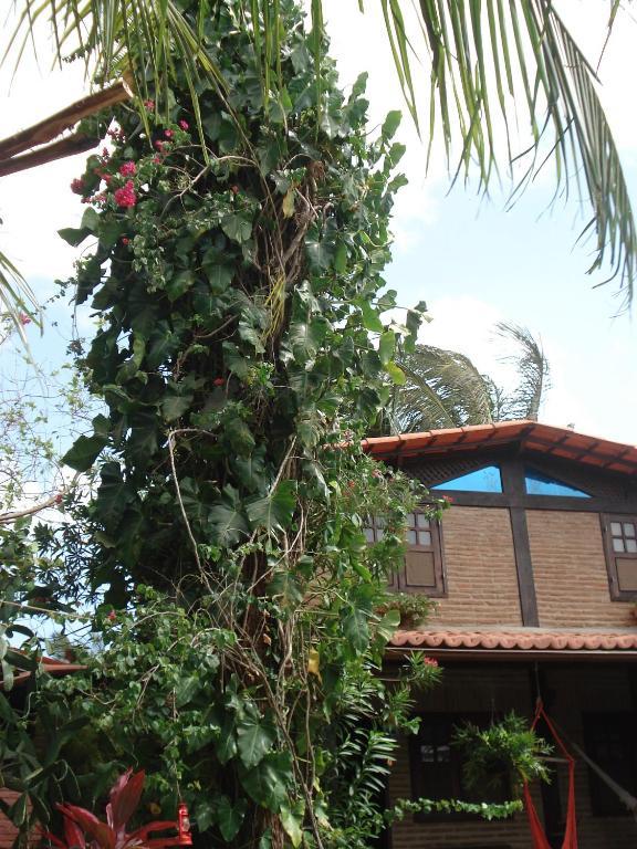 Hotel Pousada Ibirapuera Jijoca de Jericoacoara Esterno foto